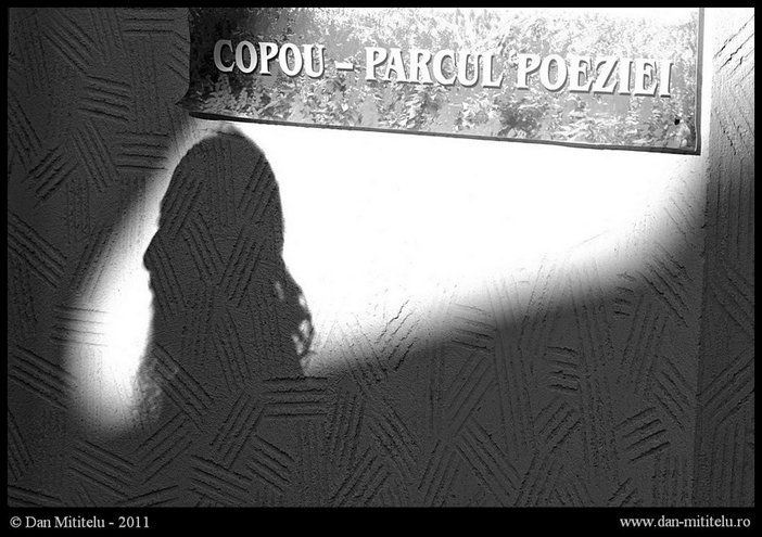 Dan Mititelu - Copou, parcul poeziei - fotografiromani.ro